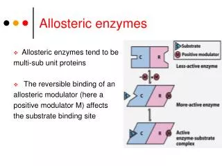 Allosteric enzymes