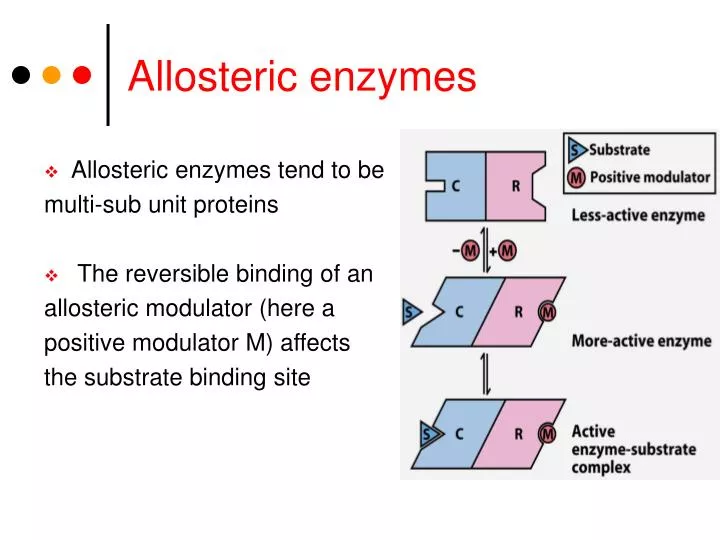 allosteric enzymes