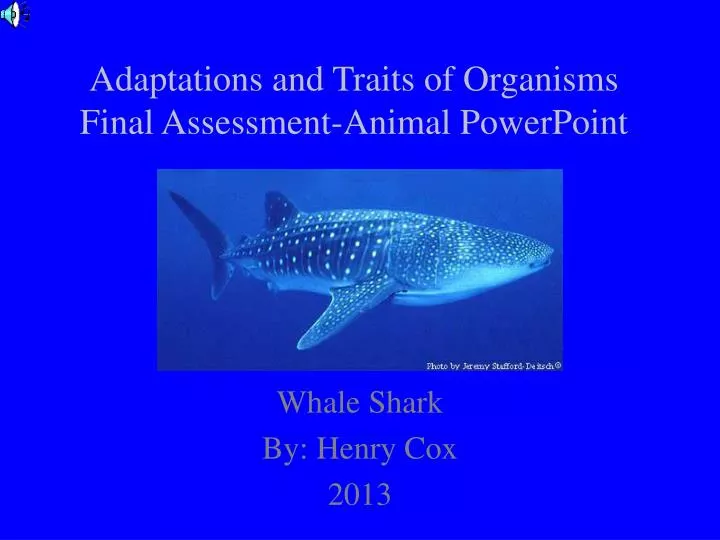 adaptations and traits of organisms final assessment animal powerpoint