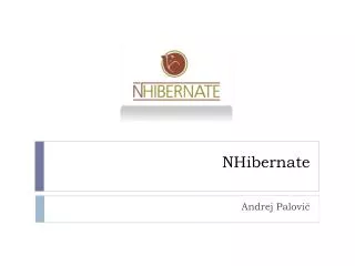 nhibernate