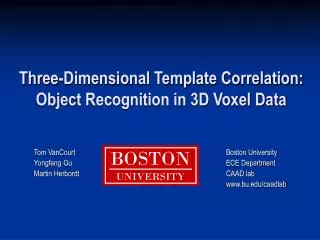 Three-Dimensional Template Correlation: Object Recognition in 3D Voxel Data