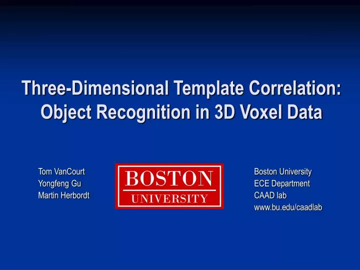 three dimensional template correlation object recognition in 3d voxel data