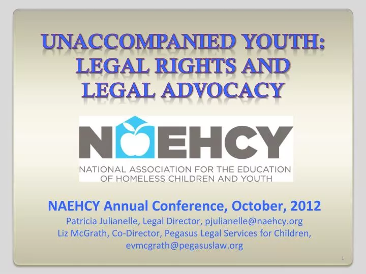 unaccompanied youth legal rights and legal advocacy