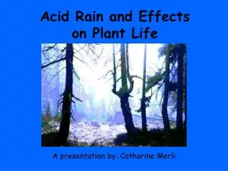 Acid Rain and Effects on Plant Life