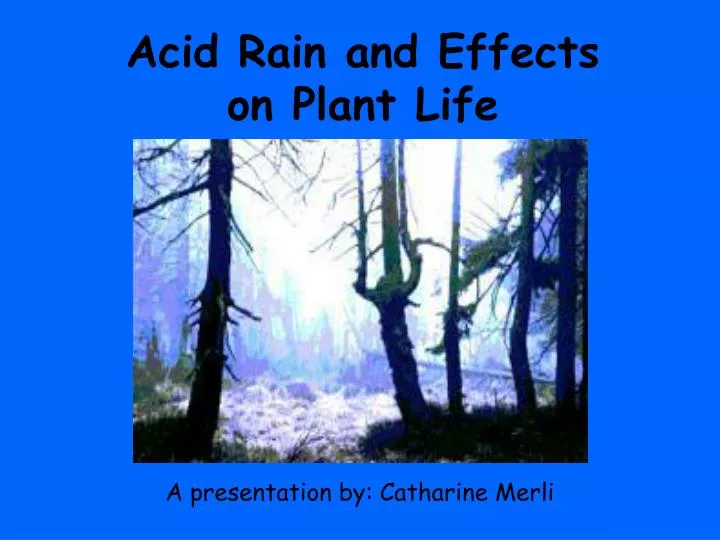 acid rain and effects on plant life