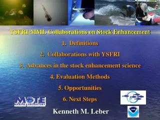 YSFRI-MML Collaborations on Stock Enhancement