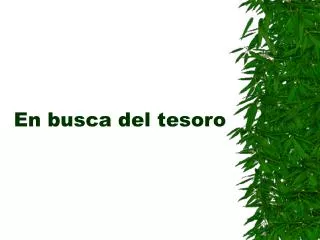 en busca del tesoro