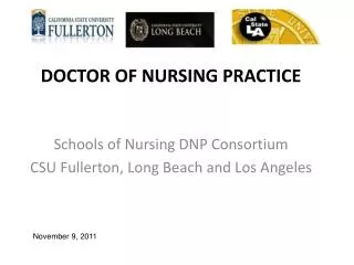 Doctor of Nursing Practice