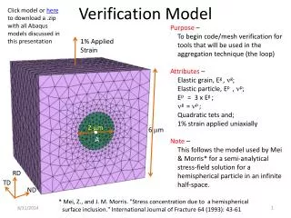 Verification Model