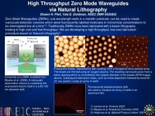 High Throughput Zero Mode Waveguides via Natural Lithography