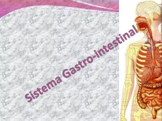 sistema gastro intestinal