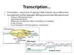 Transcription… - slide 1