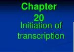 Initiation of Transcription: Key Elements and Mechanisms in Eukaryotic RNA Polymerases - slide 1