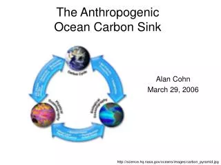 The Anthropogenic Ocean Carbon Sink