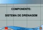 COMPONENTE: SISTEMA DE DRENAGEM - slide 1