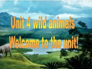 Unit 4 wild animals Welcome to the unit!