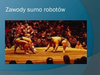 zawody sumo robot w