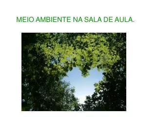 meio ambiente na sala de aula