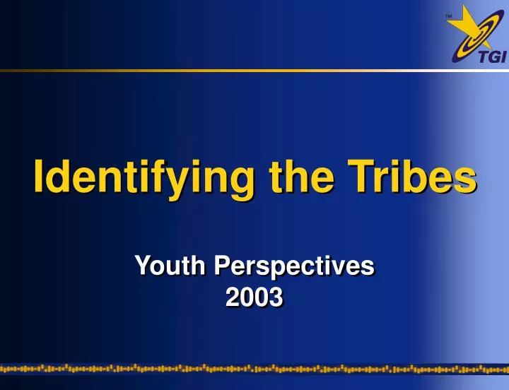 youth perspectives 2003