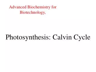 Photosynthesis: Calvin Cycle
