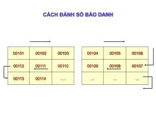c ch nh s b o danh