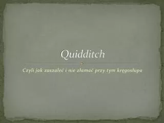 quidditch