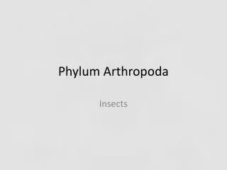 Phylum Arthropoda