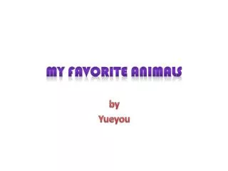 my favorite animals