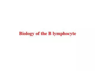 Biology of the B lymphocyte