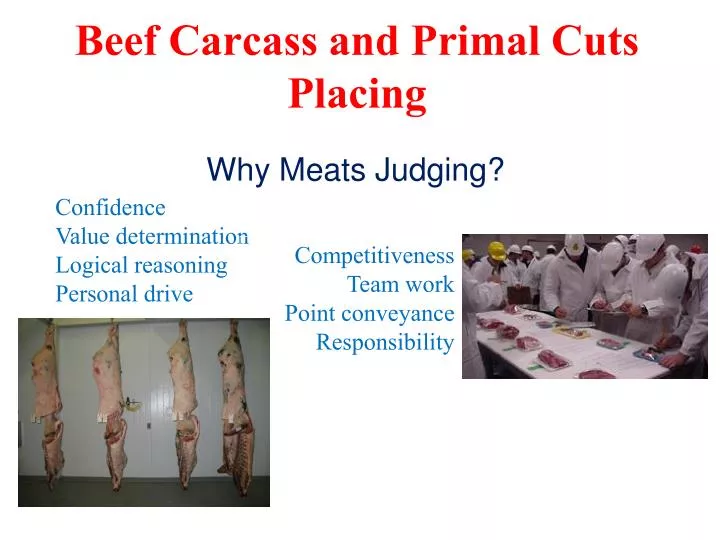 beef carcass and primal cuts placing