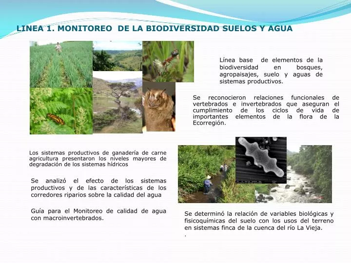 linea 1 monitoreo de la biodiversidad suelos y agua