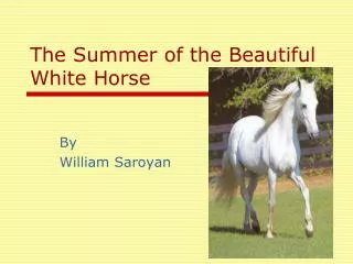 The Summer of the Beautiful White Horse