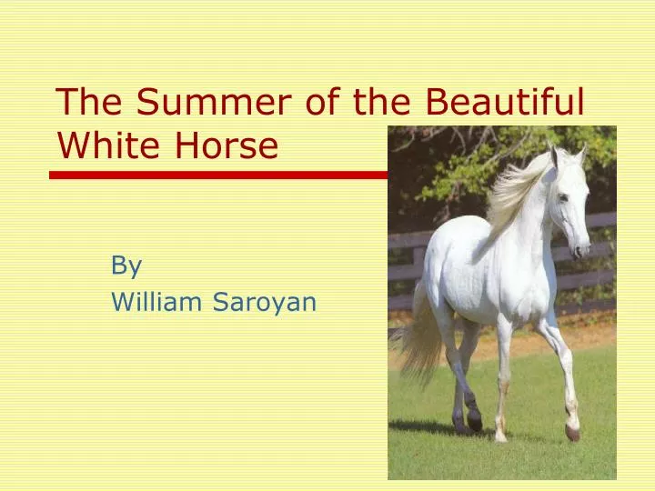 the summer of the beautiful white horse