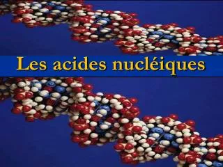 les acides nucl iques