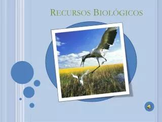 recursos biol gicos