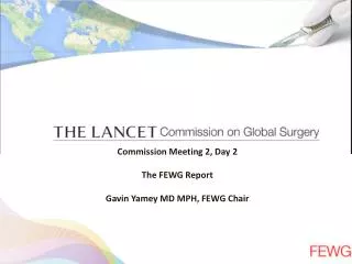 Commission Meeting 2, Day 2 The FEWG Report Gavin Yamey MD MPH, FEWG Chair