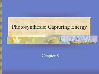 Photosynthesis: Capturing Energy