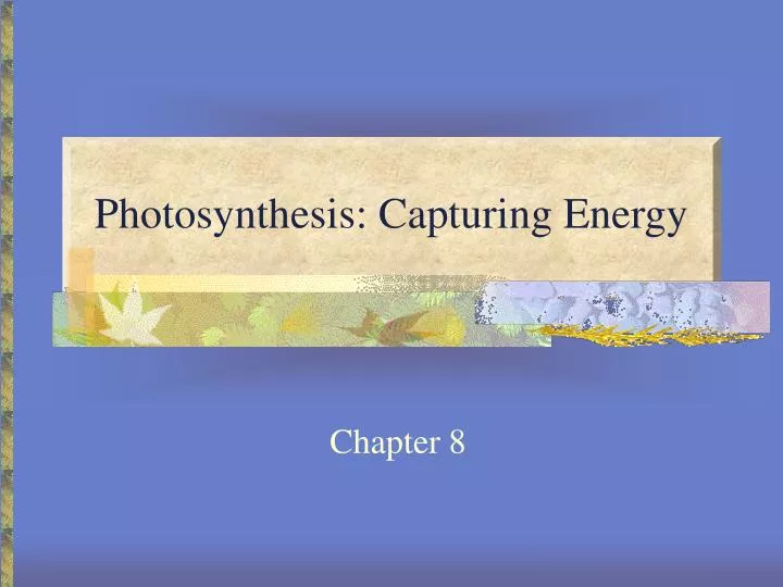 photosynthesis capturing energy
