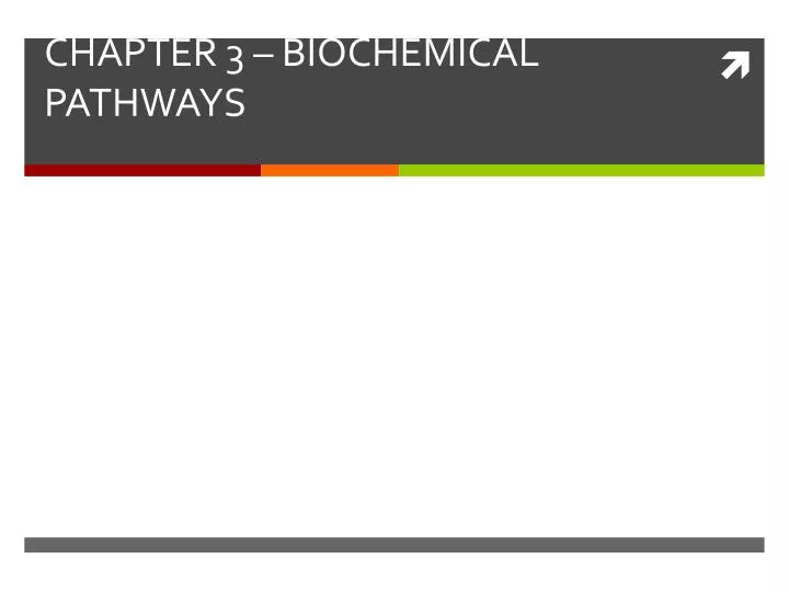 chapter 3 biochemical pathways