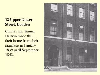 12 Upper Gower Street, London