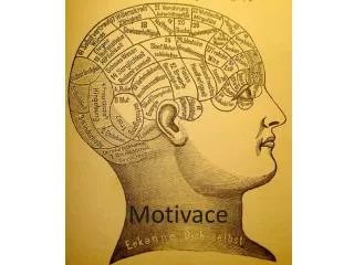 motivace