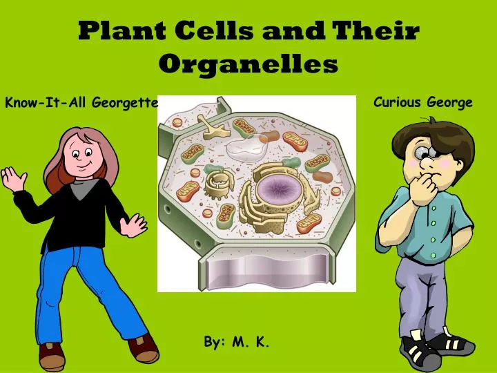 plant cells and their organelles