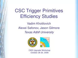 CSC Trigger Primitives Efficiency Studies