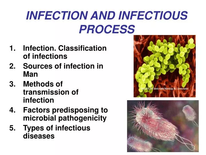 infection and infectious process