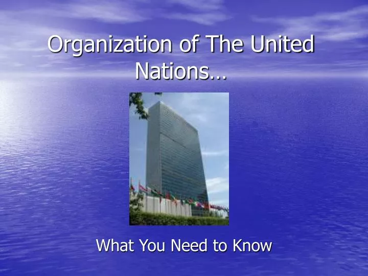 organization of the united nations