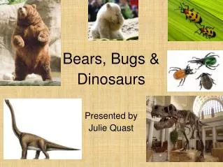 Bears, Bugs &amp; Dinosaurs Presented by Julie Quast