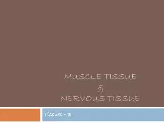 Muscle tissue &amp; nervous tissue