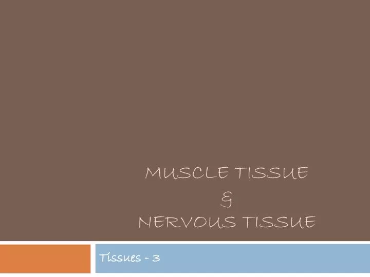 muscle tissue nervous tissue