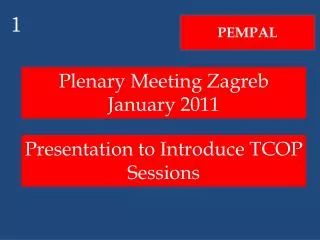 Plenary Meeting Zagreb January 2011