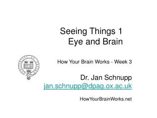 Seeing Things 1 Eye and Brain